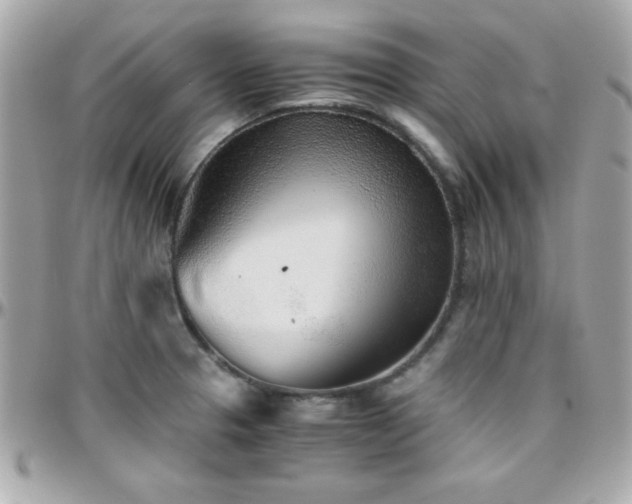X0000096421329200801241309