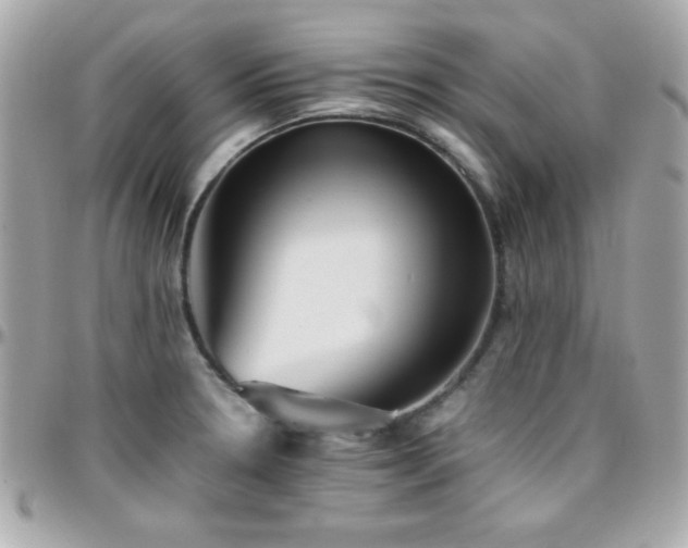 X0000096421330200801241309