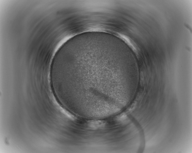 X0000096421331200801241309