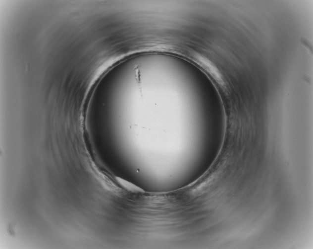 X0000096421332200801241309