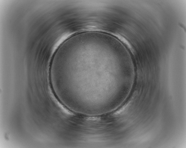 X0000096421333200801241309