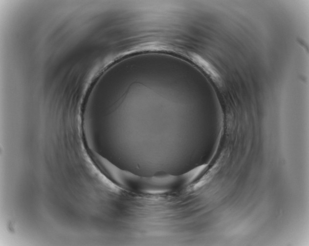 X0000096421334200801241309