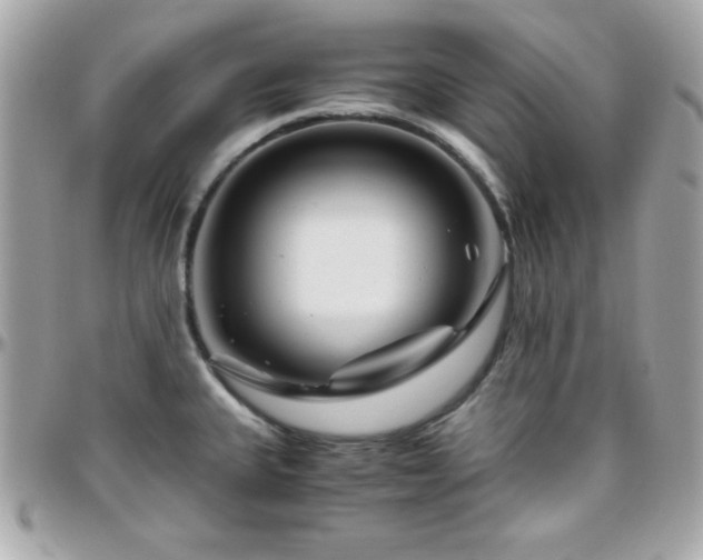 X0000096421335200801241309