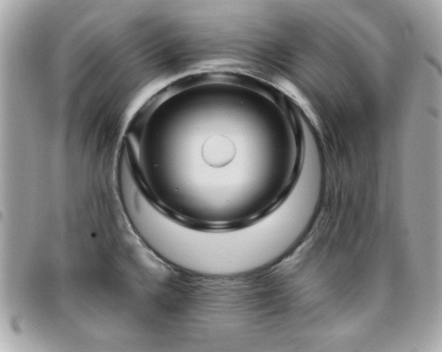 X0000096421336200801241309