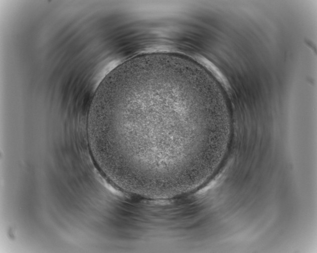 X0000096421337200801241309