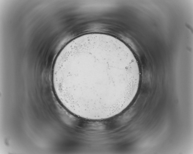X0000096421338200801241309
