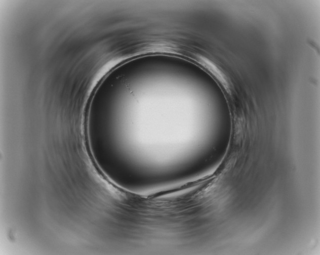 X0000096421339200801241309