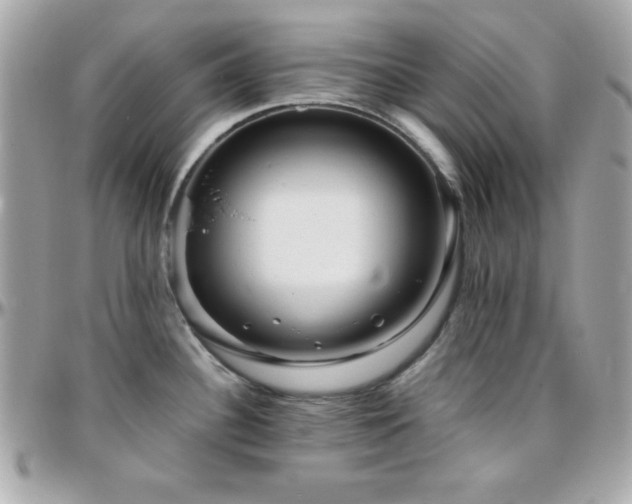 X0000096421340200801241309