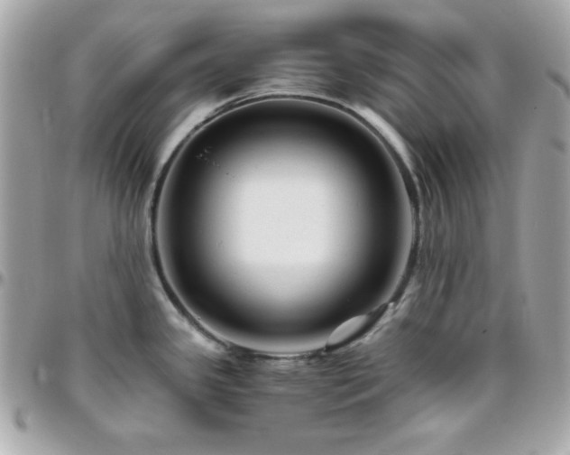 X0000096421341200801241309