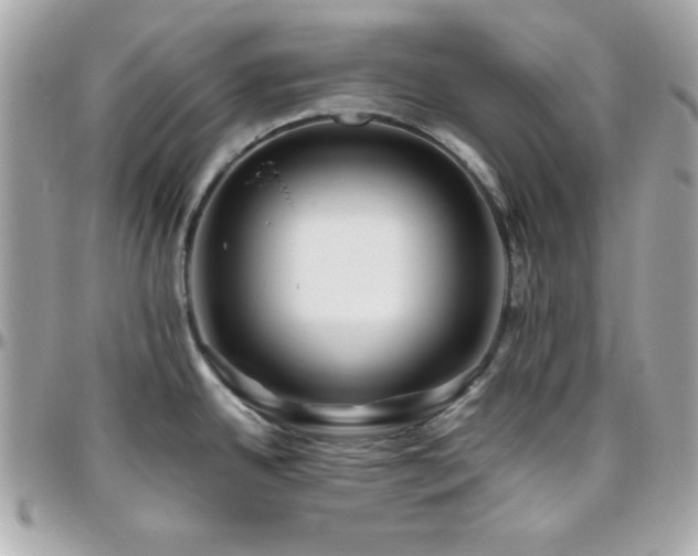 X0000096421342200801241309