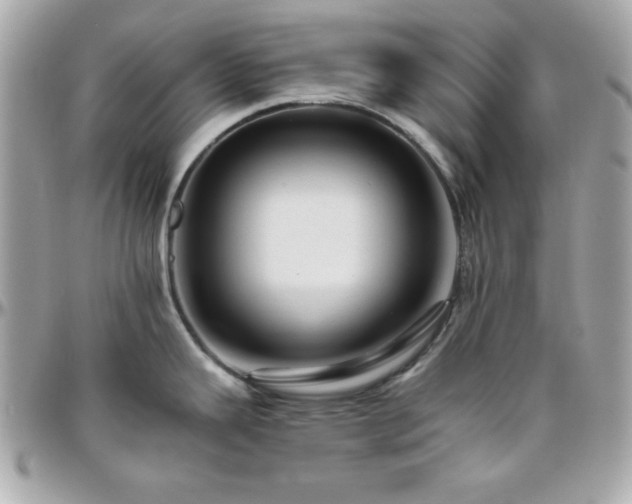 X0000096421343200801241309