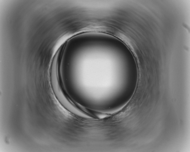 X0000096421344200801241309