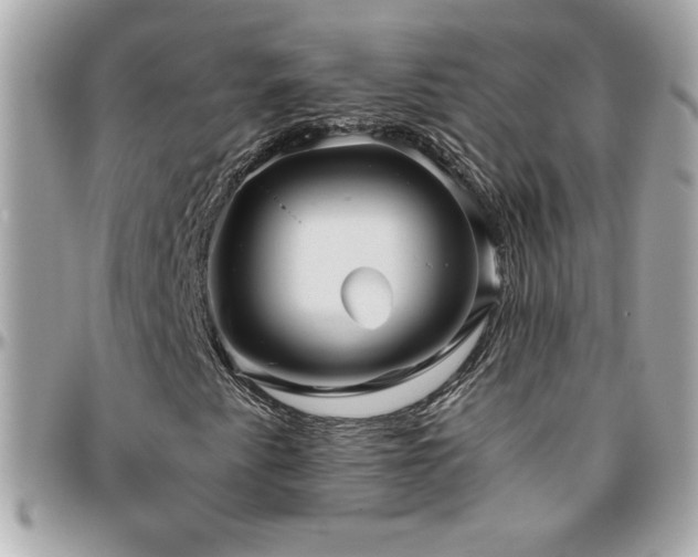 X0000096421345200801241308