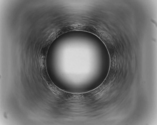 X0000096421346200801241308