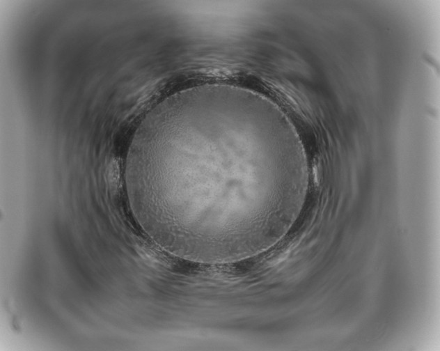X0000096421347200801241308