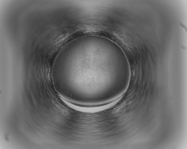 X0000096421348200801241308