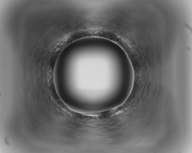 X0000096421349200801241308