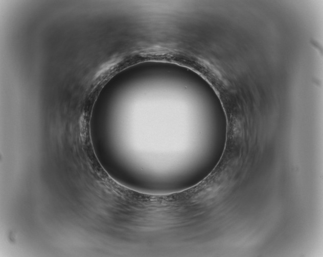 X0000096421350200801241308