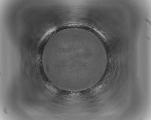 X0000096421351200801241308