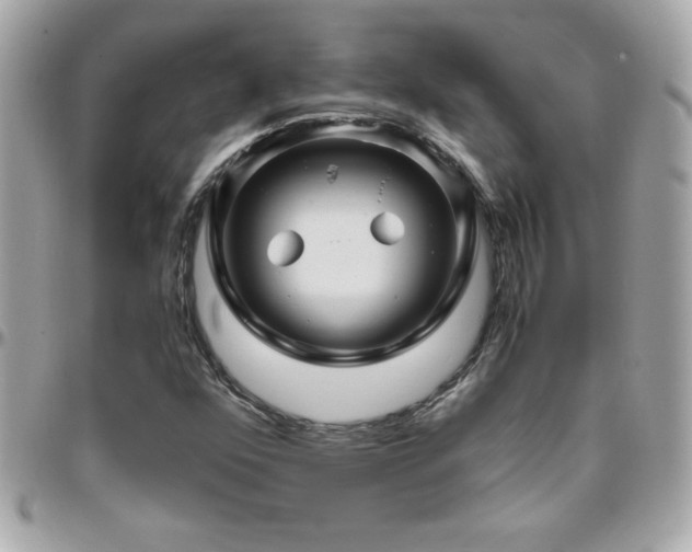 X0000096421352200801241308