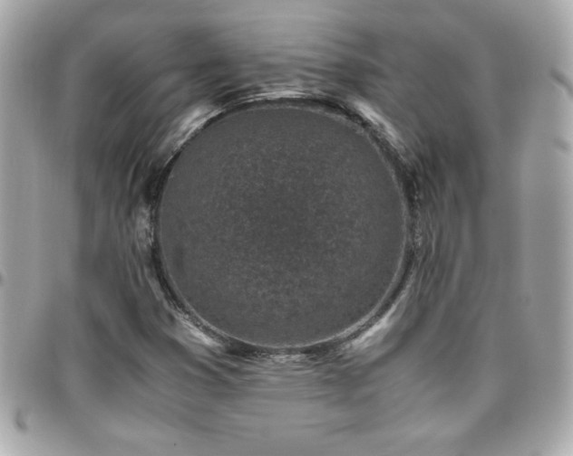 X0000096421353200801241308
