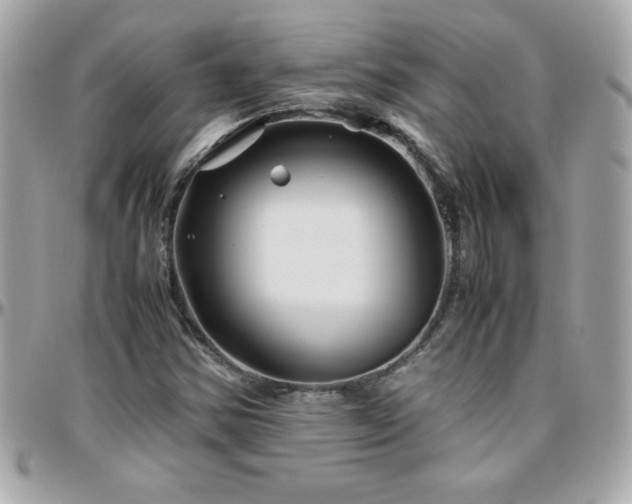 X0000096421354200801241308