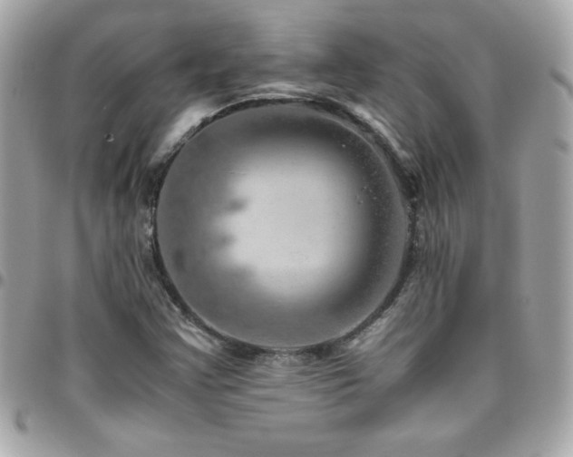 X0000096421355200801241308