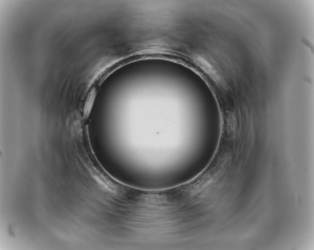 X0000096421356200801241308