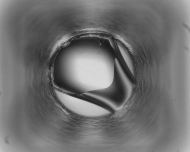 X0000096421357200801241308