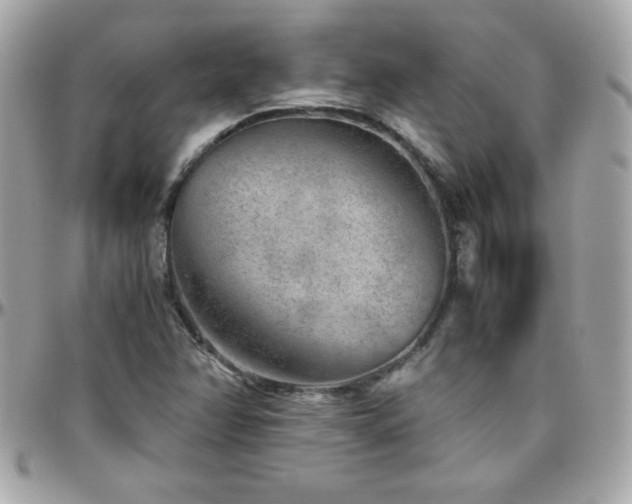 X0000096421358200801241308
