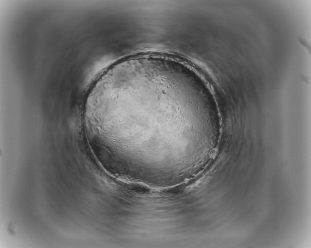 X0000096421359200801241308