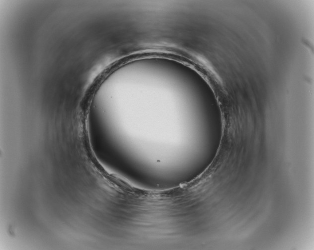 X0000096421360200801241308