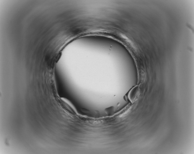 X0000096421361200801241308