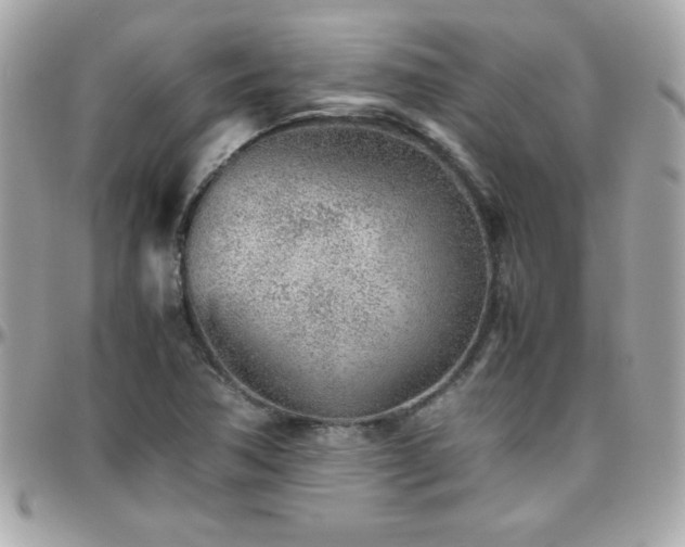 X0000096421362200801241308