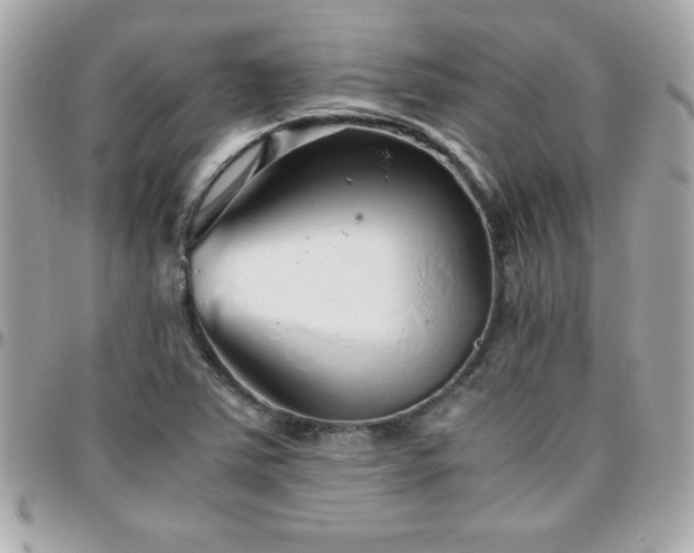 X0000096421363200801241308