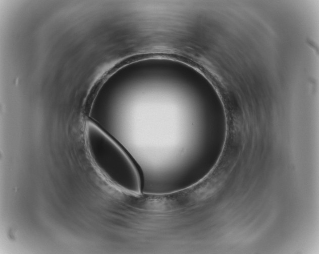 X0000096421364200801241308