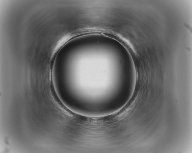 X0000096421365200801241308