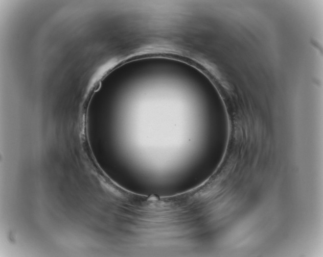 X0000096421366200801241308