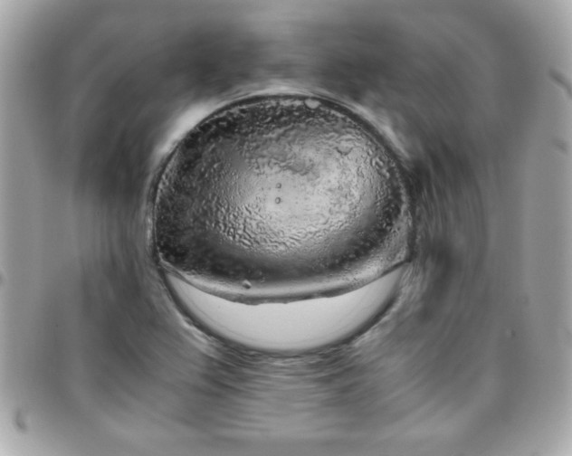 X0000096421367200801241308
