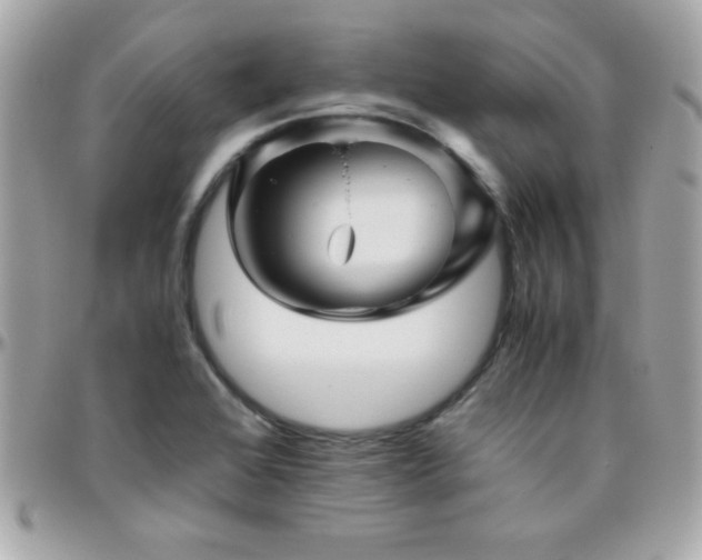 X0000096421368200801241308