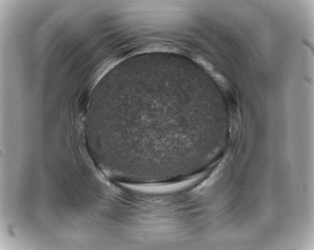 X0000096421369200801241308
