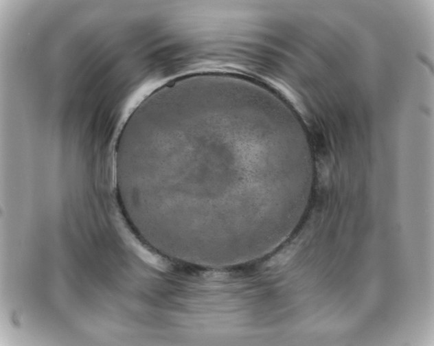 X0000096421371200801241308