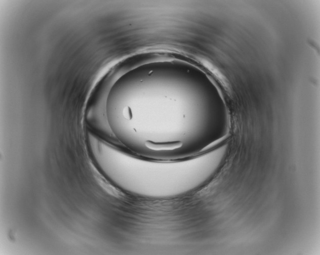 X0000096421372200801241308