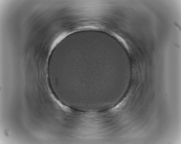 X0000096421373200801241308