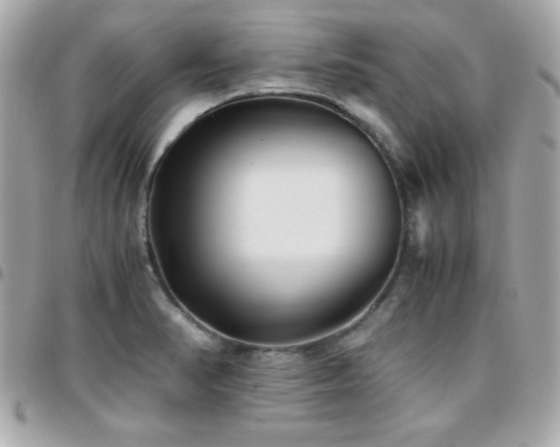 X0000096421374200801241308