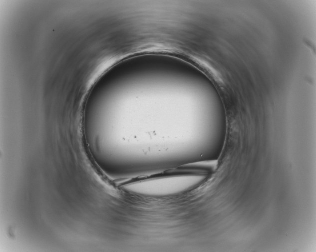 X0000096421375200801241308