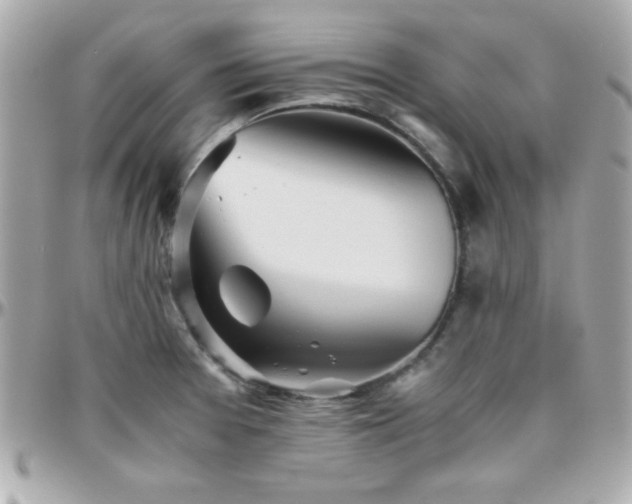 X0000096421377200801241308