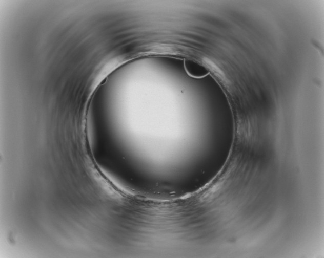 X0000096421378200801241308