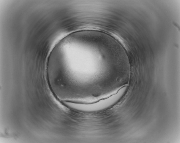 X0000096421379200801241308