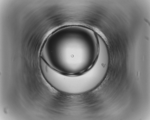 X0000096421380200801241308